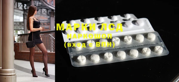 индика Аркадак