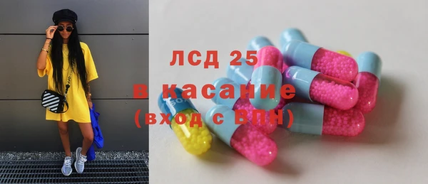 индика Аркадак