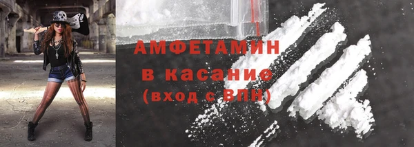 индика Аркадак